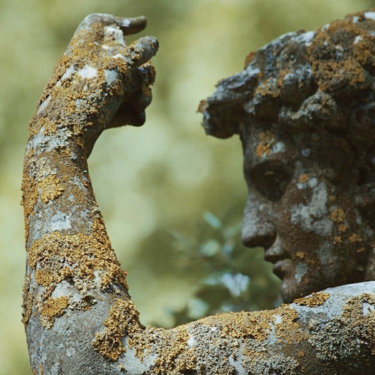 Скрытые связи болезней и жизненных проблем